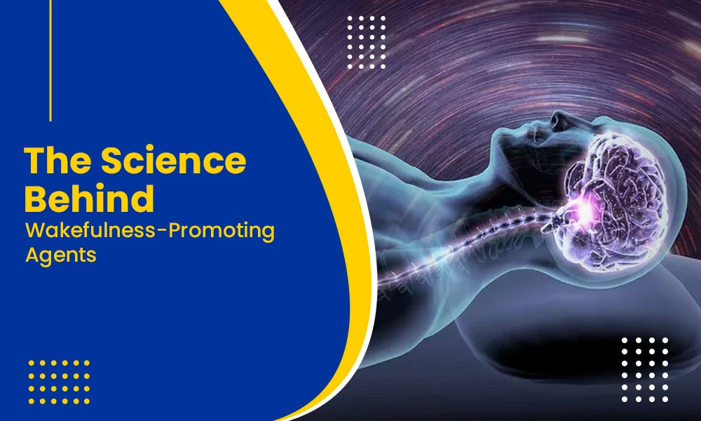 The Science Behind Wakefulness-Promoting Agents illustrated with a human brain highlighting neural pathways involved in alertness and wakefulness.